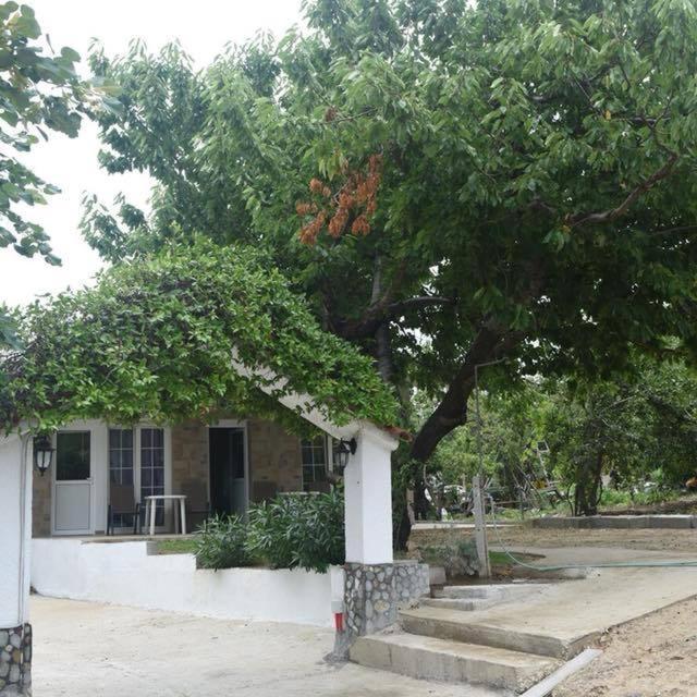 Villa Leonidas Koutsoupia Kókkinon Nerón Екстериор снимка